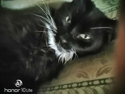 IMG_20230705_203724
05/07/2023 - Woody
